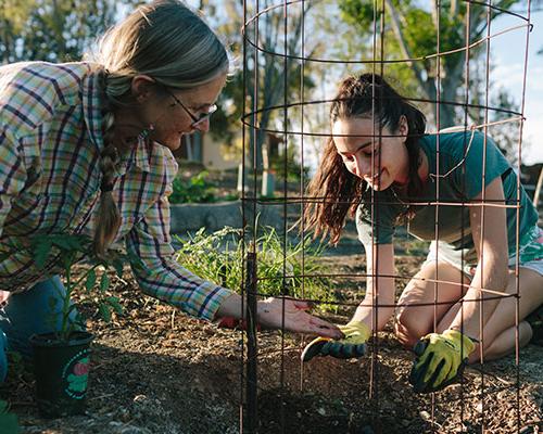 Volunteers working in the Heritage Garden